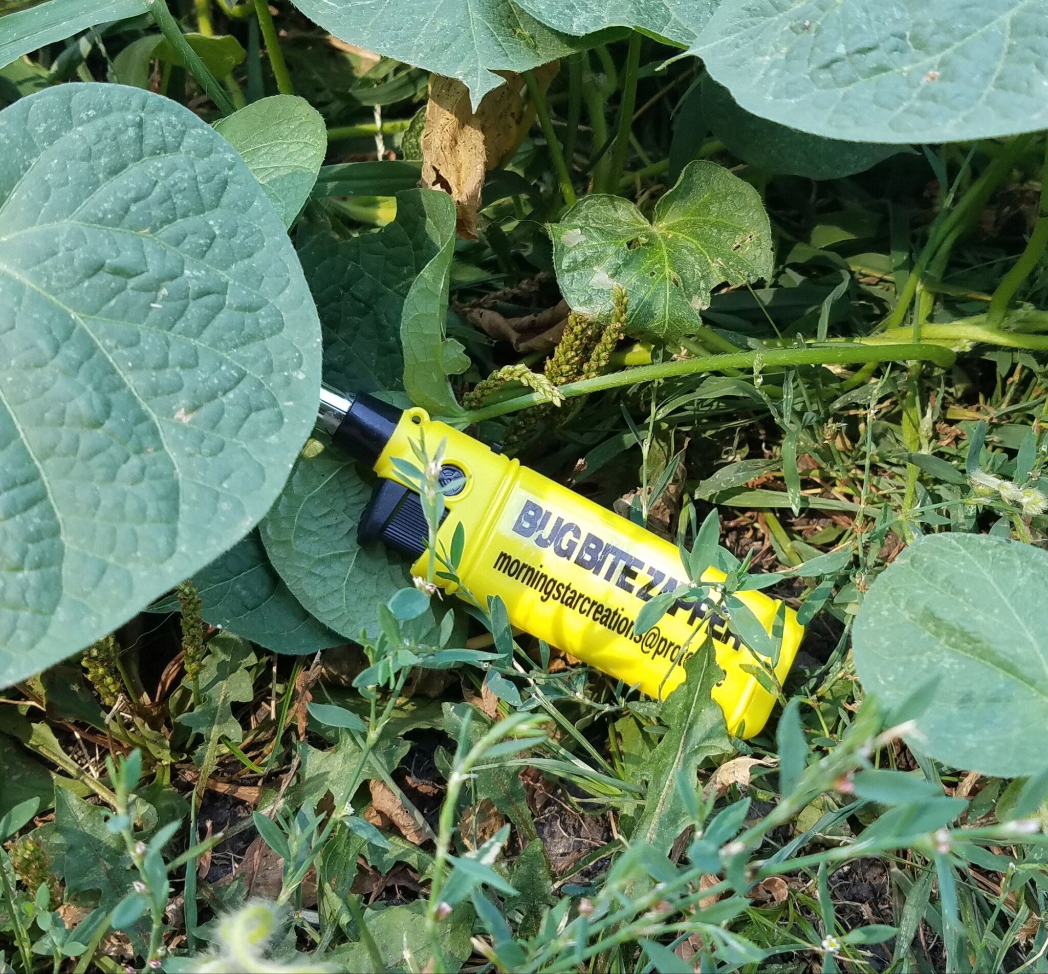 Bug Bite Zapper Peter’s Square