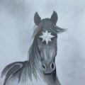 Fiery Pony
