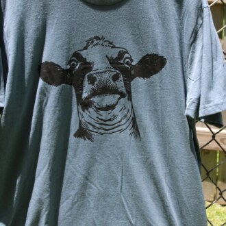 Funny Cow