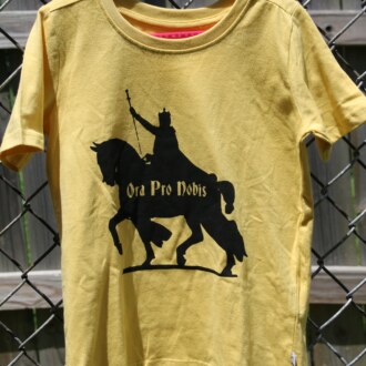 St. Louis T-shirt