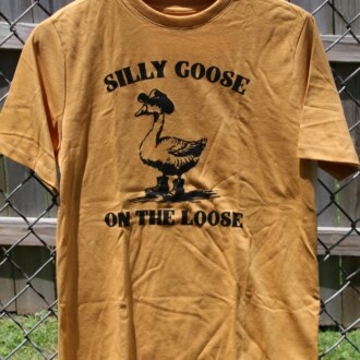 Silly Goose on the Lose